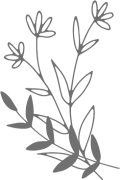 花のイラスト